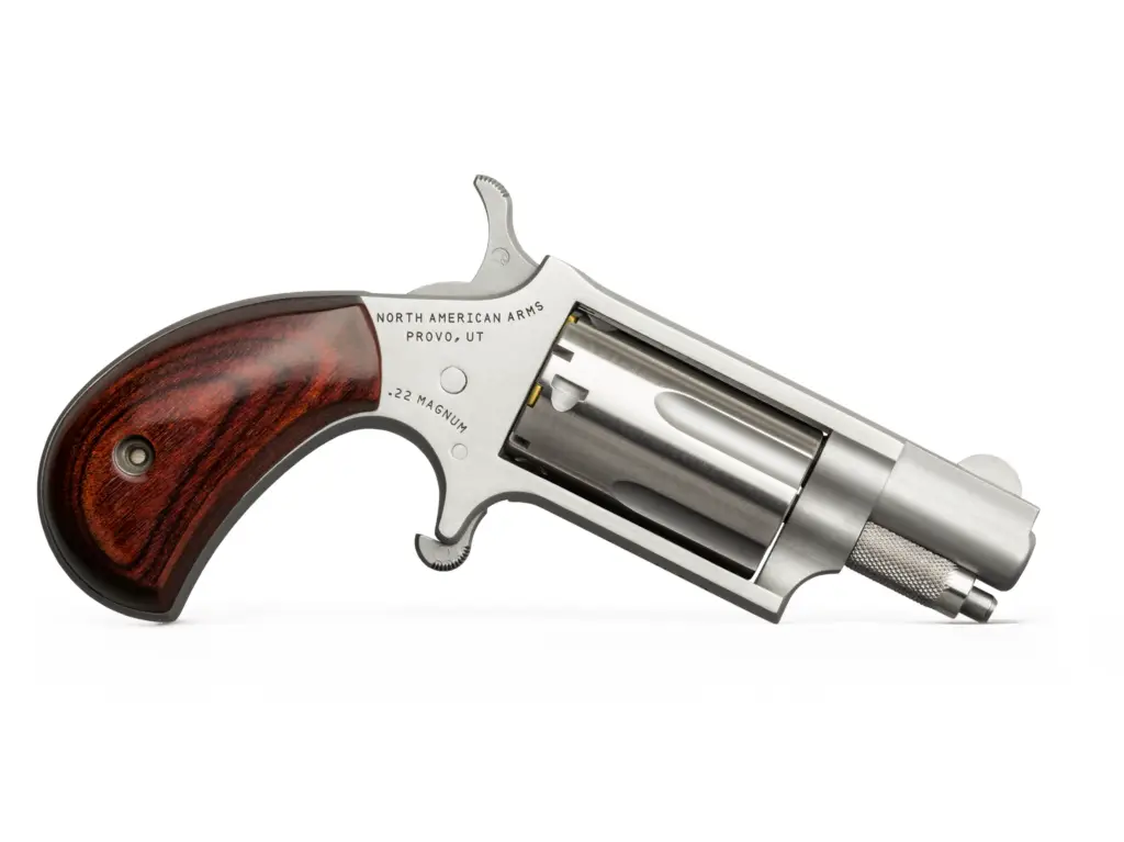 North American Arms NAA-22ms