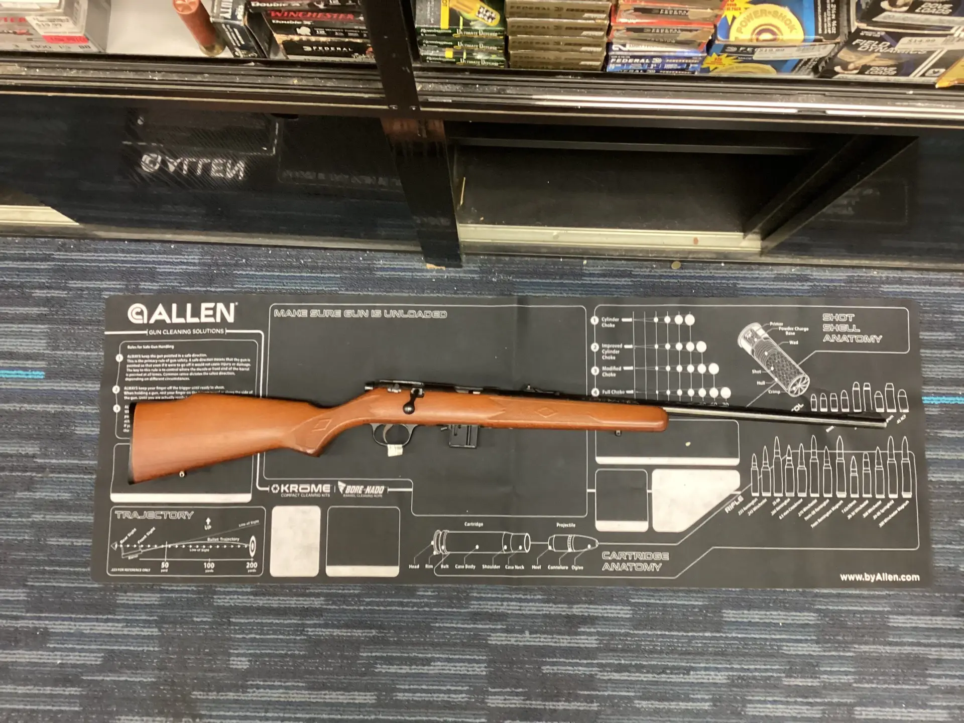 Marlin model 25mn