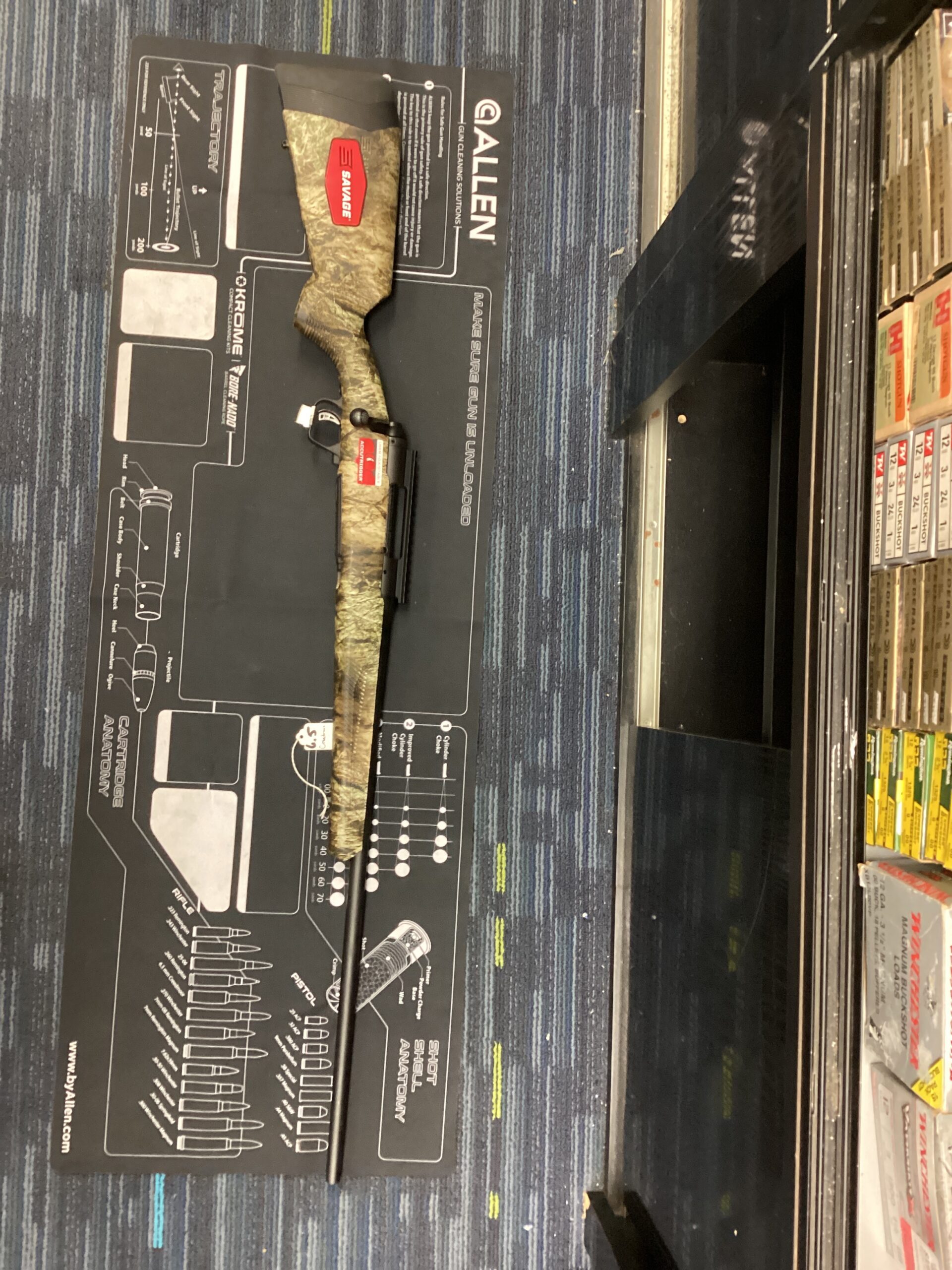 Savage model 110
